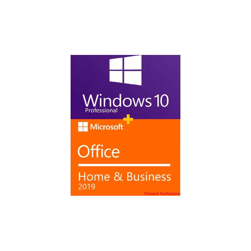 Licenta Windows 10 Pro + Licenta Office Home Business 2019